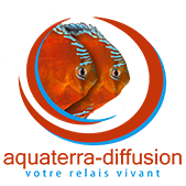 Aquaterra-Diffusion